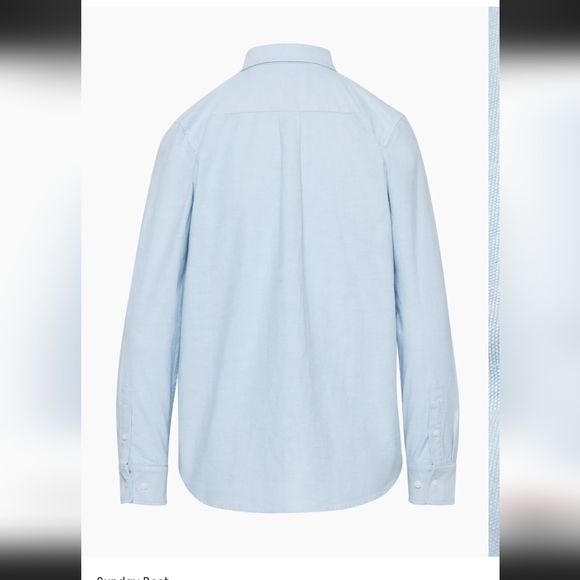 Aritzia Trevi Oxford Button up Shirt - Picture 4 of 4